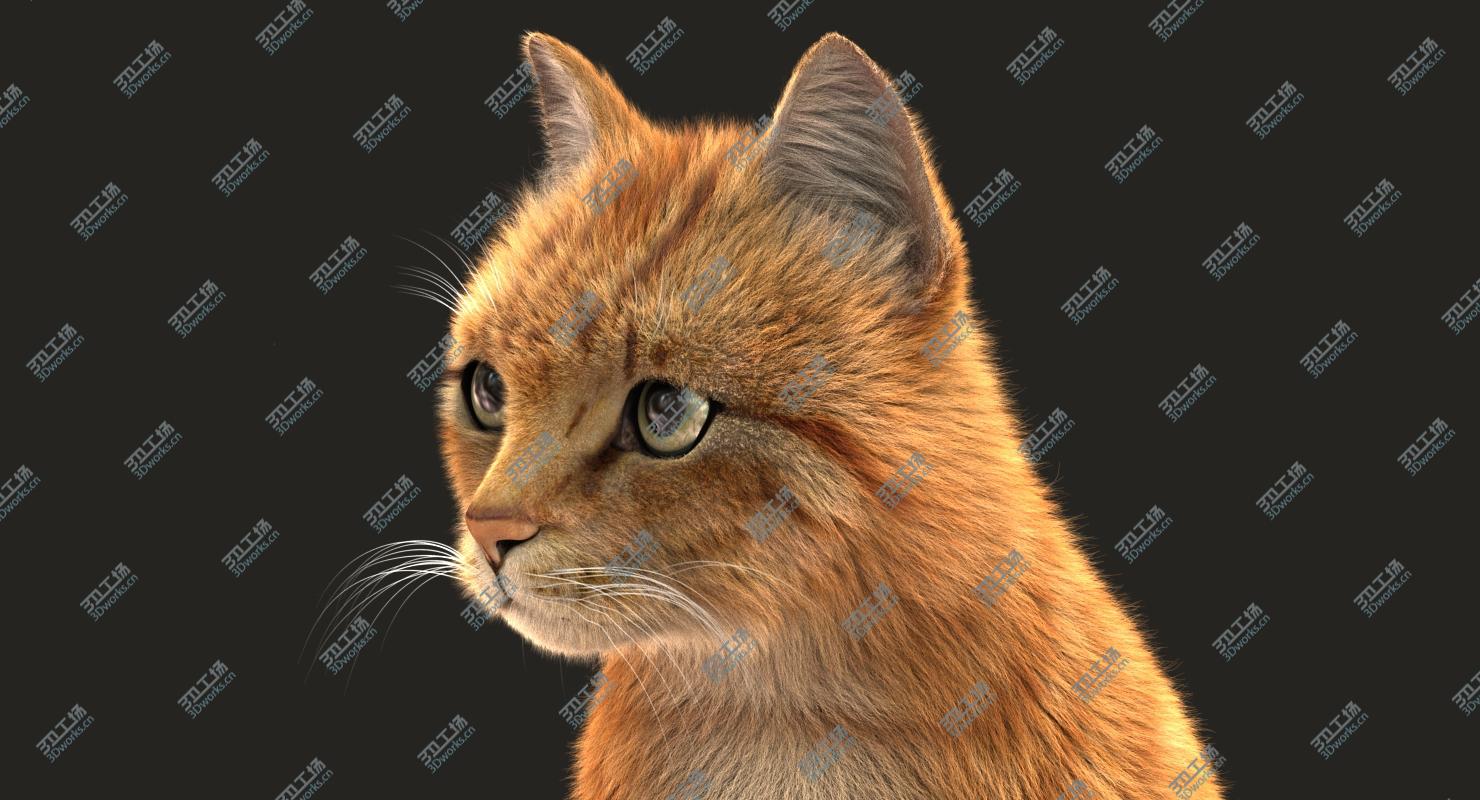 images/goods_img/20210113/3D Cat (2) (Orange Tabby) (ANIMATED) (FUR) model/4.jpg